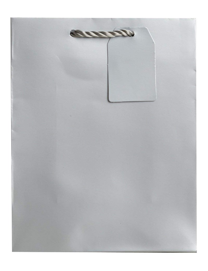 Jillson Roberts 6-Count Medium 8" x 10" x 4" All-Occasion Gift Bags Available in 20 Solid Colors, Silver Matte - Image 1